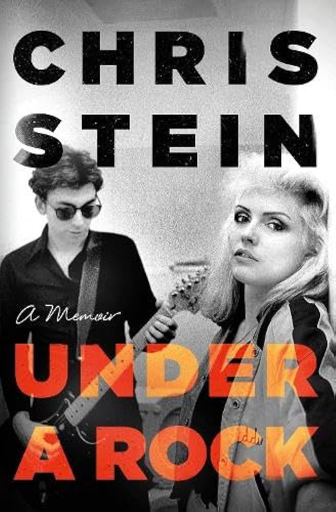Libro Under A Rock - Stein - OYR
