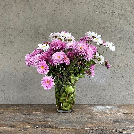 Federico Falco Fotógrafo