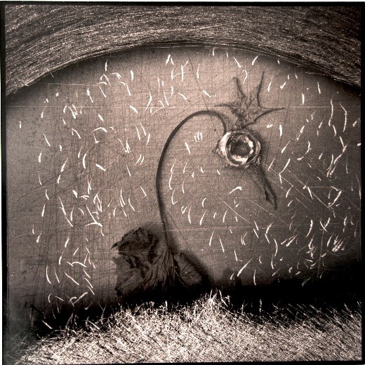 Fotografía de Roberto Fernández Ibañez - GF - OYR