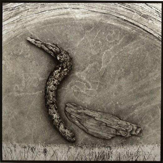 Fotografìa de Roberto Fernández Ibañez - OYR