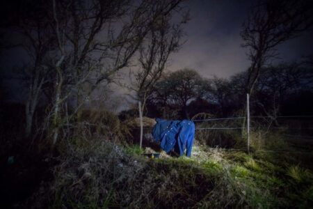 Ropa Prestada - libro - portada - OYR