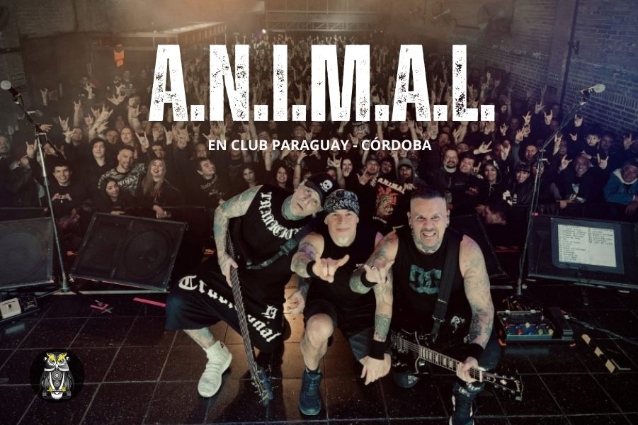 A.N.I.M.A.L. - portada - slide - OYR (2)